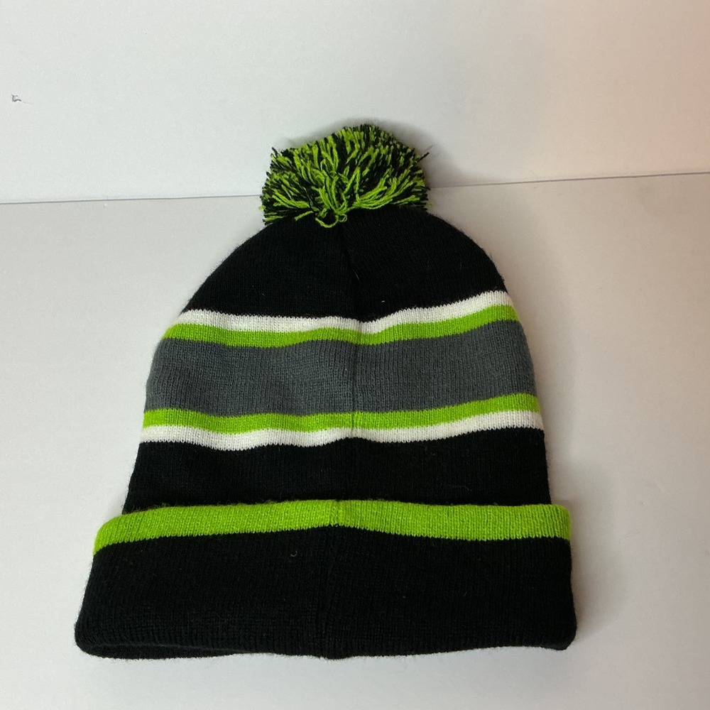 Nickelodeon Teenage Mutant Ninja Turtles Kids Beanie Hat Pom Winter TMNT Green - Picture 2 of 5